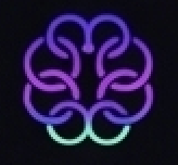LWADEVS Brain Logo